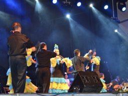 Festival de Folkore en Mula